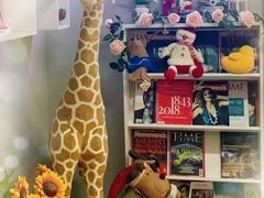 -引领英语·成人口语·雅思托福