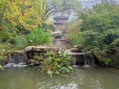 -习家池