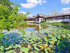 -上海滨江森林公园