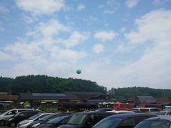 -富田农场