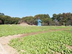 -广州市流溪河国家森林公园