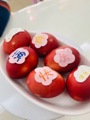 -维倪月子会所(独栋庭院·南海店)