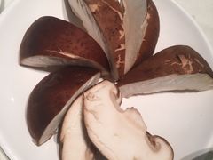 鲜香菇-凯鸽火锅(华林新天地店)