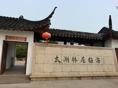 -林屋梅海青梅保护基地