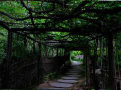 -幽岚山·童话森林