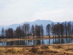 -四明山国家森林公园