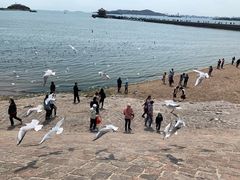 -老味道民宿(栈桥店)