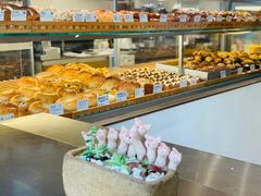 -WHEN PIGS FLY当猪飞