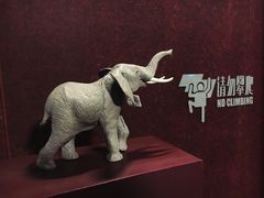 -当当梅溪书院(步步高梅溪新天地店)