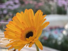 -秀儿家の小确幸花园西餐厅