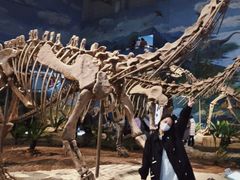 -自贡恐龙博物馆