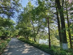 -西溪国家湿地公园