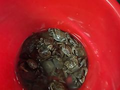 -苏州湾梦幻水世界