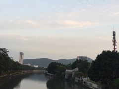 -黄连大头华烧鹅店(大良店)