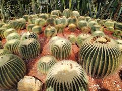 -昆明市金殿名胜区