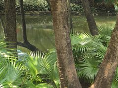 -晓港公园