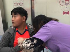 -伟伟宠物医院·CT影像中心·瑞派犬猫综合性门诊(汉口总院)