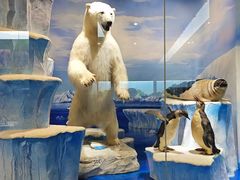 -国家自然博物馆