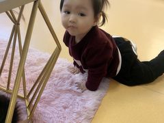 -糯米喵星人总部直营旗舰店·猫舍·幼猫出售