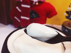 -志龙皇冠吃货椰子铺