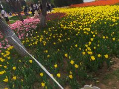 -石家庄市植物园