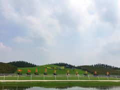 -迪茵湖田家舍生态农场