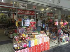 -大阪儿童乐园