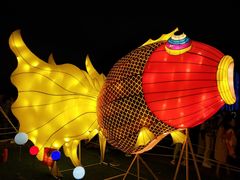 -万绿园