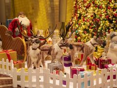 -广州天河希尔顿酒店