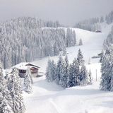 瑞士下雪啦… 去看场雪吧