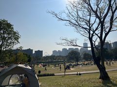 -牛岗山公园