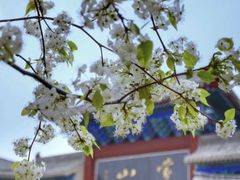 -沂蒙山旅游区云蒙景区(蒙山国家森林公园)