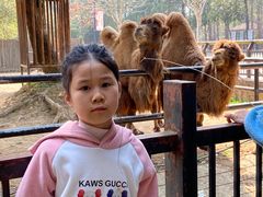 -南昌动物园
