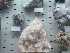 -浙江自然博物院(杭州馆)