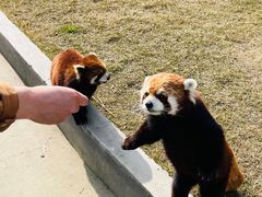 -水上乐园·欢乐世界