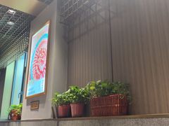 -南门四季铜锅涮肉(大屯·北苑店)