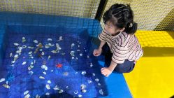 -反弹蹦床公园(重庆南坪万达店)