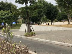 -飞凤山奥体公园