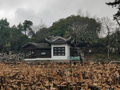 -无锡蠡湖国家湿地公园-蠡园