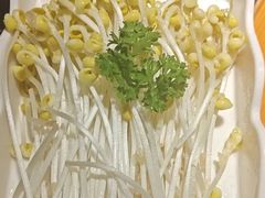 -老版火锅.12年西安排队王(沣峪口店)