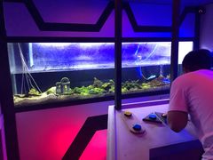 -MOJO密室逃脱(中街旗舰店)