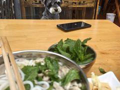 -攀枝花·任德琼·盐边羊肉米线