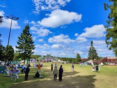 -黄海国家森林公园