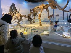 -辽宁古生物博物馆