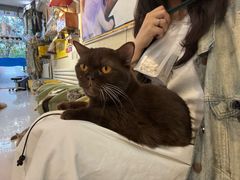 -平行世界·猫咖(首经贸店)
