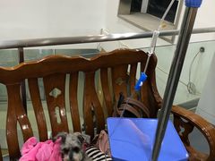 -爱侣宠医·鹦鹉专科·小型哺乳类·异宠专科(灵石路店)