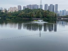 -重庆彩云湖湿地公园