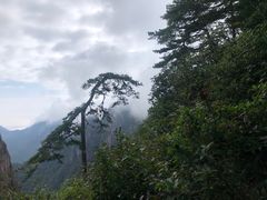 -黄山风景区