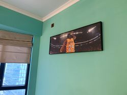 -脱白计划纹身集团