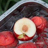 混果汁西瓜桃子系列回归